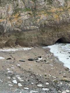 Carmen Sylva Studio flat Llandudno sea front F7 - Llandudno - 4