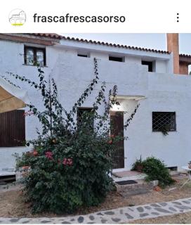 LA FRASCA FRESCA - 7