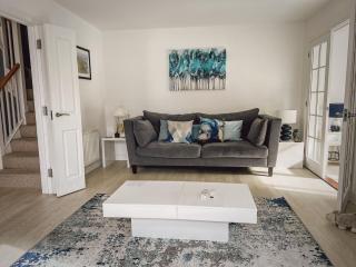 Silver Stone - Camber - 7