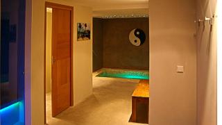 Cannes Villa St Barth - 9