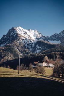 Singerskogel - Ferienhof und Jausnstub`n - Spital am Pyhrn - 1