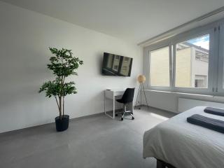 H95 Studios in Basel City with Basel Card - Basel - 7