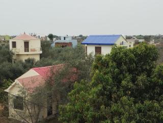 Thar Olive Cottages Pilani - Pilani - 8