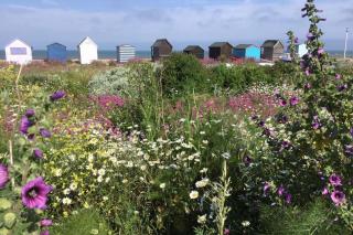 Chalet Twentyfive - 8