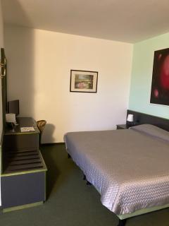 Green Hotel - Poviglio - 7