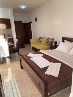 Apartmani Vila Delfin - Bar - 8