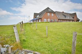 Hotel & Gasthaus Hilligenley - auf der Hallig Langeness - Langeneß - 6