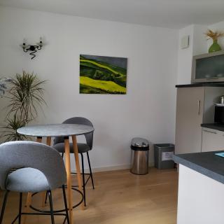 Appartement Salamandre - Orléans - 1
