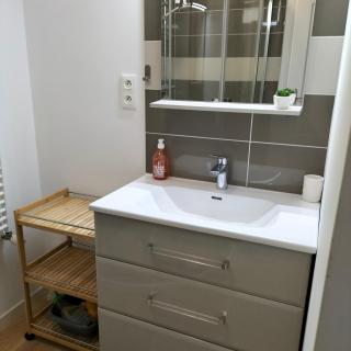 Appartement Salamandre - Orléans - 5
