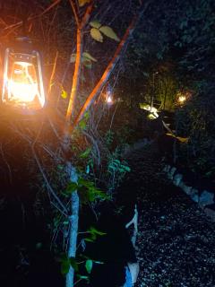 The Wild Yala - Kataragama - 2