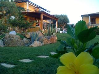 Luxury villa al mare in Calabria Diamante - Cirella - 7