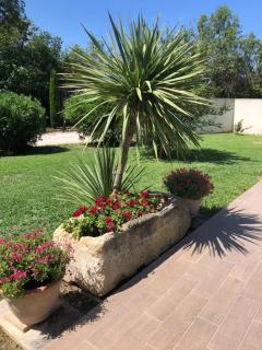 Petite Maison en Provence - Arles - 1