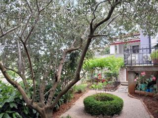Apartment in Vrbnik - Insel Krk 45252 - Vrbnik - 3