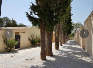 Bastidon Résidence les Alpilles - Saint-Rémy-de-Provence - 6