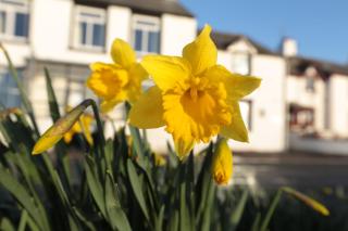 The Pennington Hotel - Ravenglass - 5