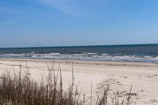 Cape'n It Reel - Indian Pass - 4