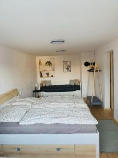 Apartmán 101 - Fryšava - 6