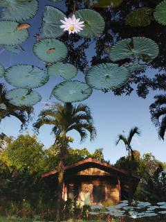 Rincon Verde - Bijagua - 8