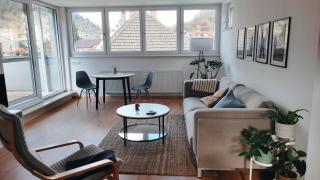 Ferienwohnung Ida - Hornberg - 9
