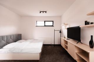 Zenstay ApartHotel - Topliţa - 6