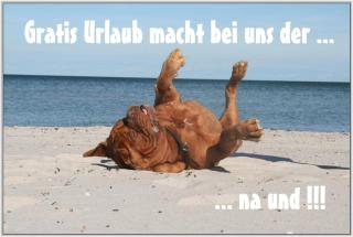 Bungalow WALD & SAND direkt am Strand - Dranske - 0