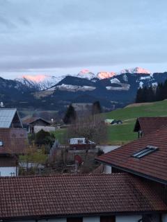 Hirsch Glück - Ofterschwang - 3