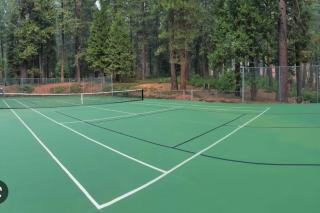Cedar Oasis - Home Base to Big Trees - Arnold - 9