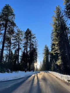 Cedar Oasis - Home Base to Big Trees - Arnold - 4