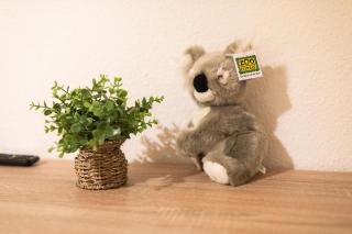 Koala Apartment mit 500 Mbit's WLAN und Balkon - Leipzig - 8