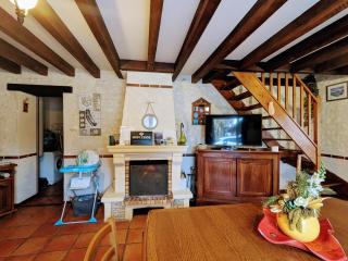 Gîte familial avec piscine chauffée, terrain de sport et proximité ZooParc de Beauval et Valençay - FR-1-591-567 - Villentrois - 5