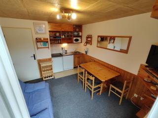 Appart 2 Pièces Cabine, 200m Pistes, 6 pers, Balcon - FR-1-557A-53 - La Ferrière - 1