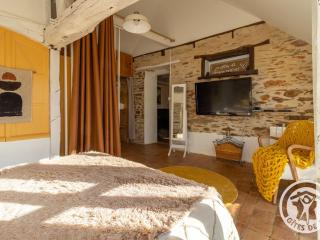 Charmante maison en Anjou Bleu, 2 pers, terrasse, poêle à bois, équipements bébé, cuisine équipée - FR-1-622-72 - 3