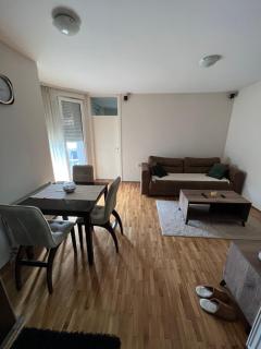 SAD Apartman - Niš - 5