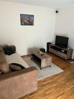 SAD Apartman - Niš - 9