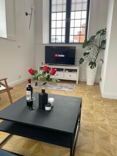 Penthouse na loftach Tymienieckiego w centrum Łodzi - Łódź - 8