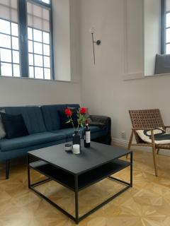 Penthouse na loftach Tymienieckiego w centrum Łodzi - Łódź - 9