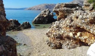 Maramare Pinus - Stara Baška - 0