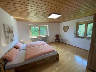 Appealing apartment near lake - Argenbühl - 5