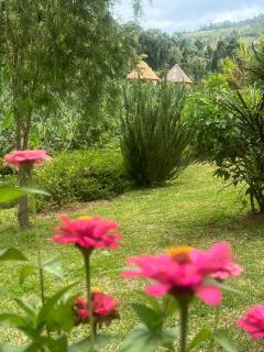 Nyore Hillside Retreat - Mbarara - 5