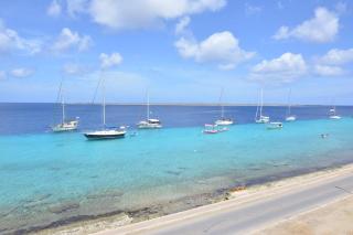 Elegancia del Caribe 14 - 8