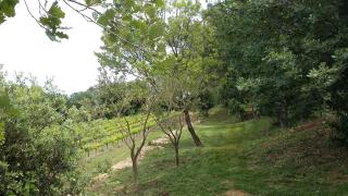 Gites Les Chrisalies - Pont-Saint-Esprit - 1
