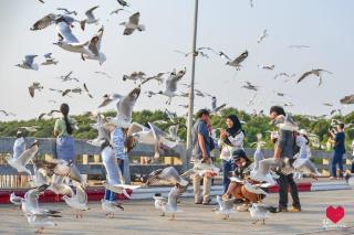 สถานตากอากาศบางปู สมุทปราการ Bang Pu Recreation Center Samut Prakan - 6