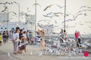สถานตากอากาศบางปู Bang Pu Recreation Center SHA Plus - - 7