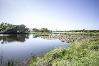 Apollo Bay Cottages- Sabine - Marengo - 7