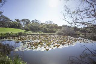 Apollo Bay Cottages- Sabine - Marengo - 6