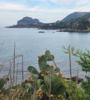 Le Casette di campagna #2 - Campofelice di Roccella - 2