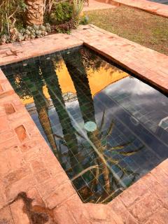 Dar Les Dattiers - Taroudant - 5