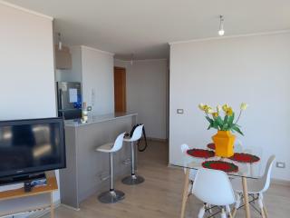 departamento nuevo amoblado sin uso - Viña del Mar - 2