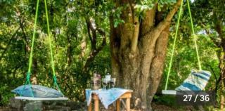 Glamping Teques Naturaleza de lujo Granja El Sol - Xoxocotla - 8