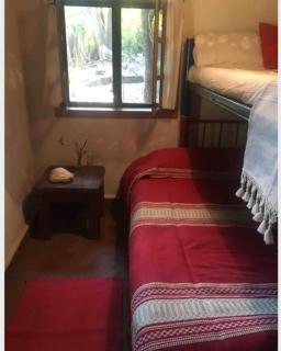 Glamping Teques Naturaleza de lujo Granja El Sol - Xoxocotla - 1